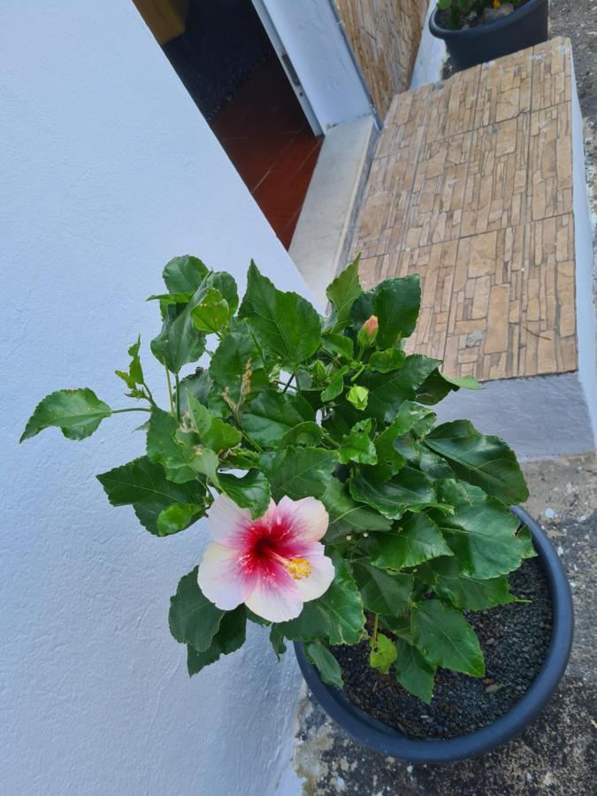 Casa Thalia Old Town Teguise By Pvl Apartman Kültér fotó